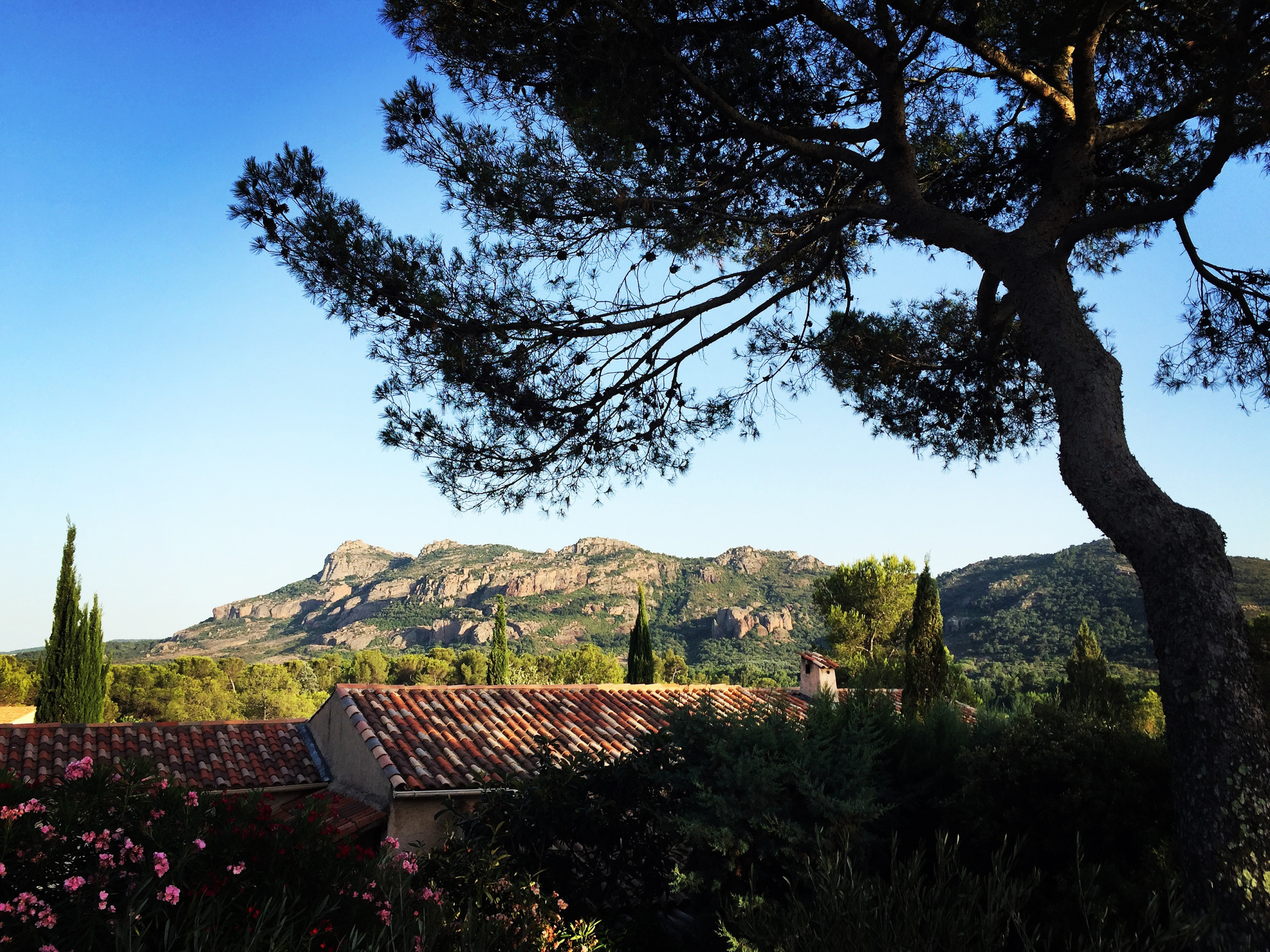 South of France.
Le Muy.