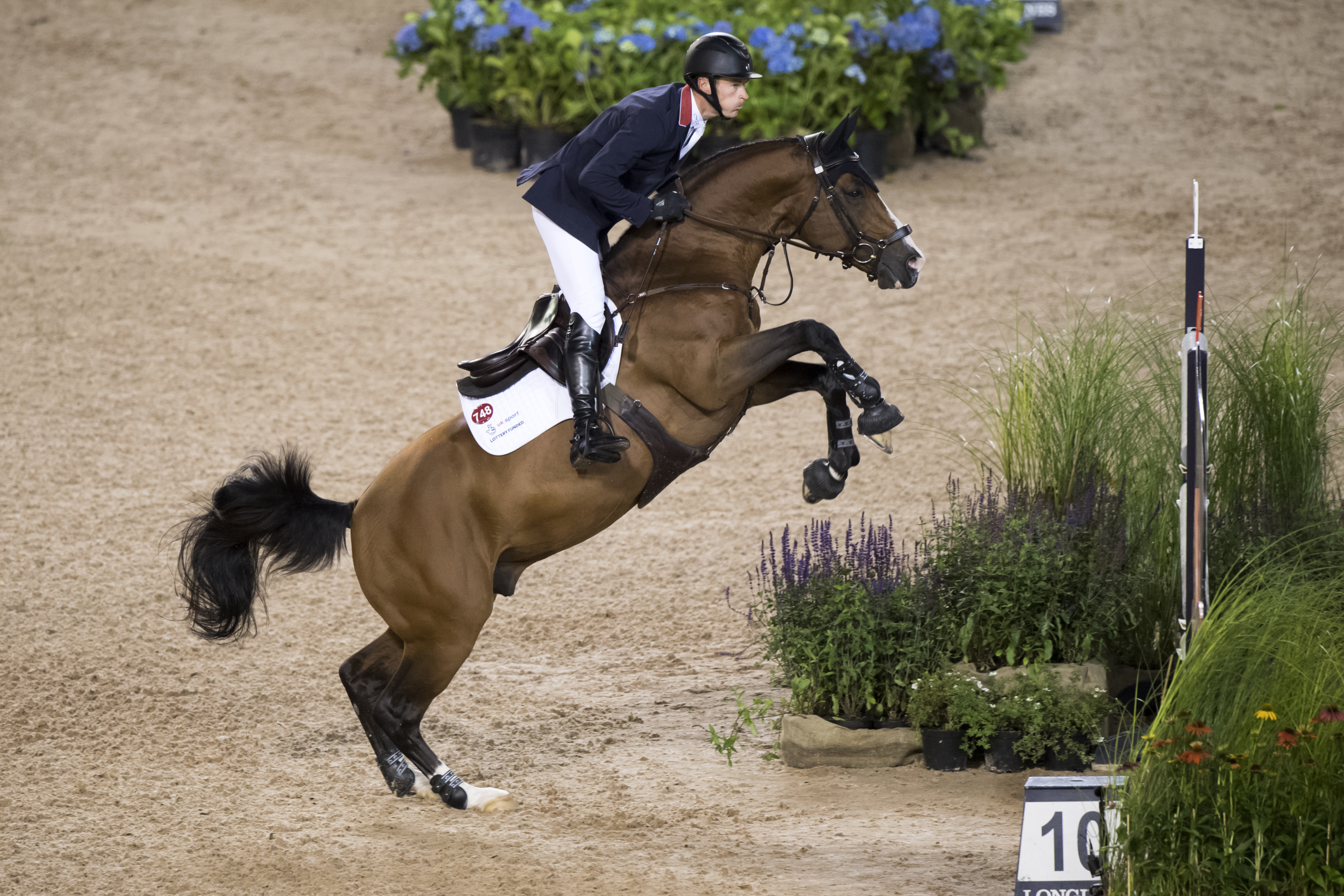 European Team Competition round 2 Jumping
William WHITAKER (GBR) rides UTAMARO D ECAUSSINES