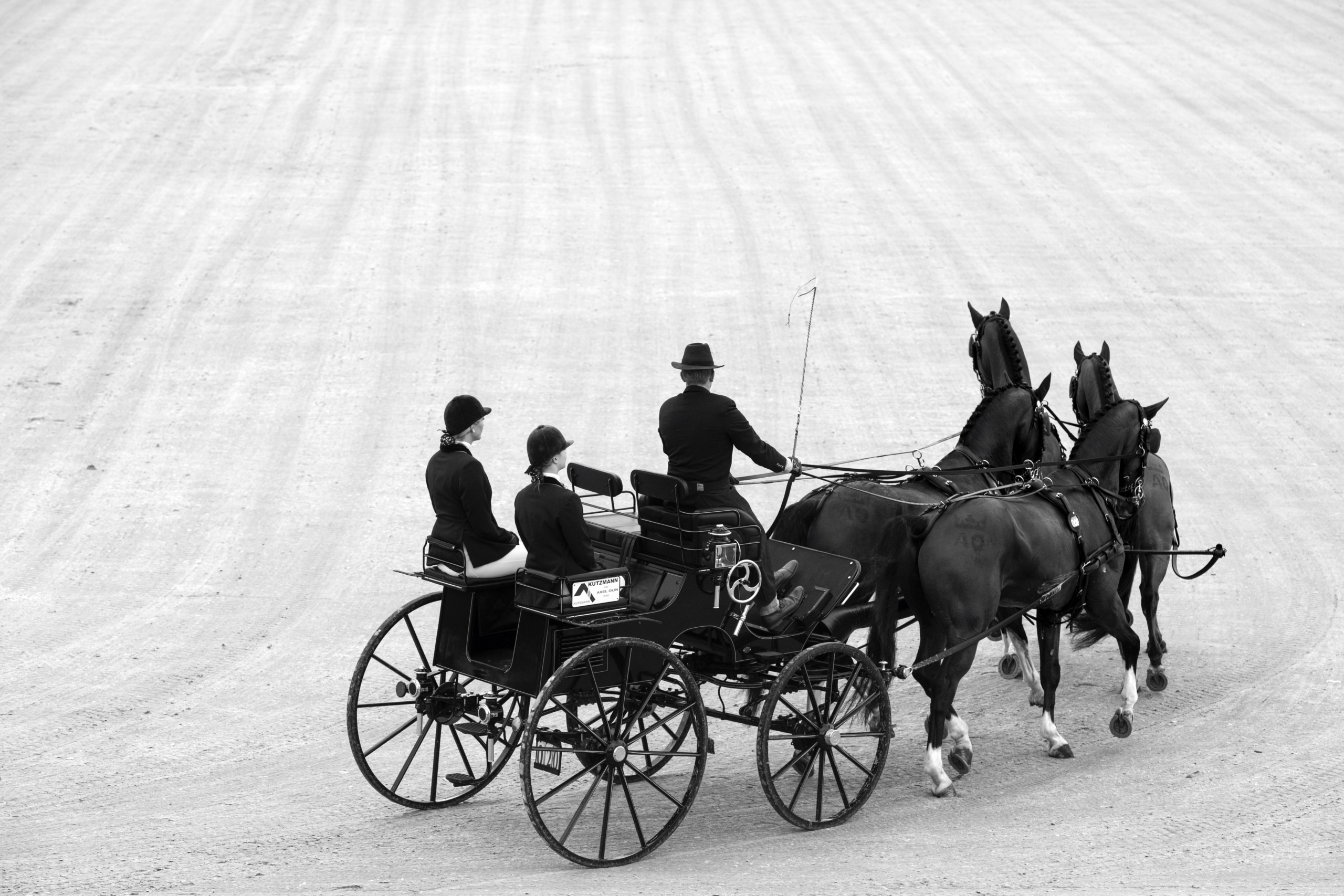 European Championship Driving
Dressage Competition
Axel OLIN (SWE) drives his team of 4 horses