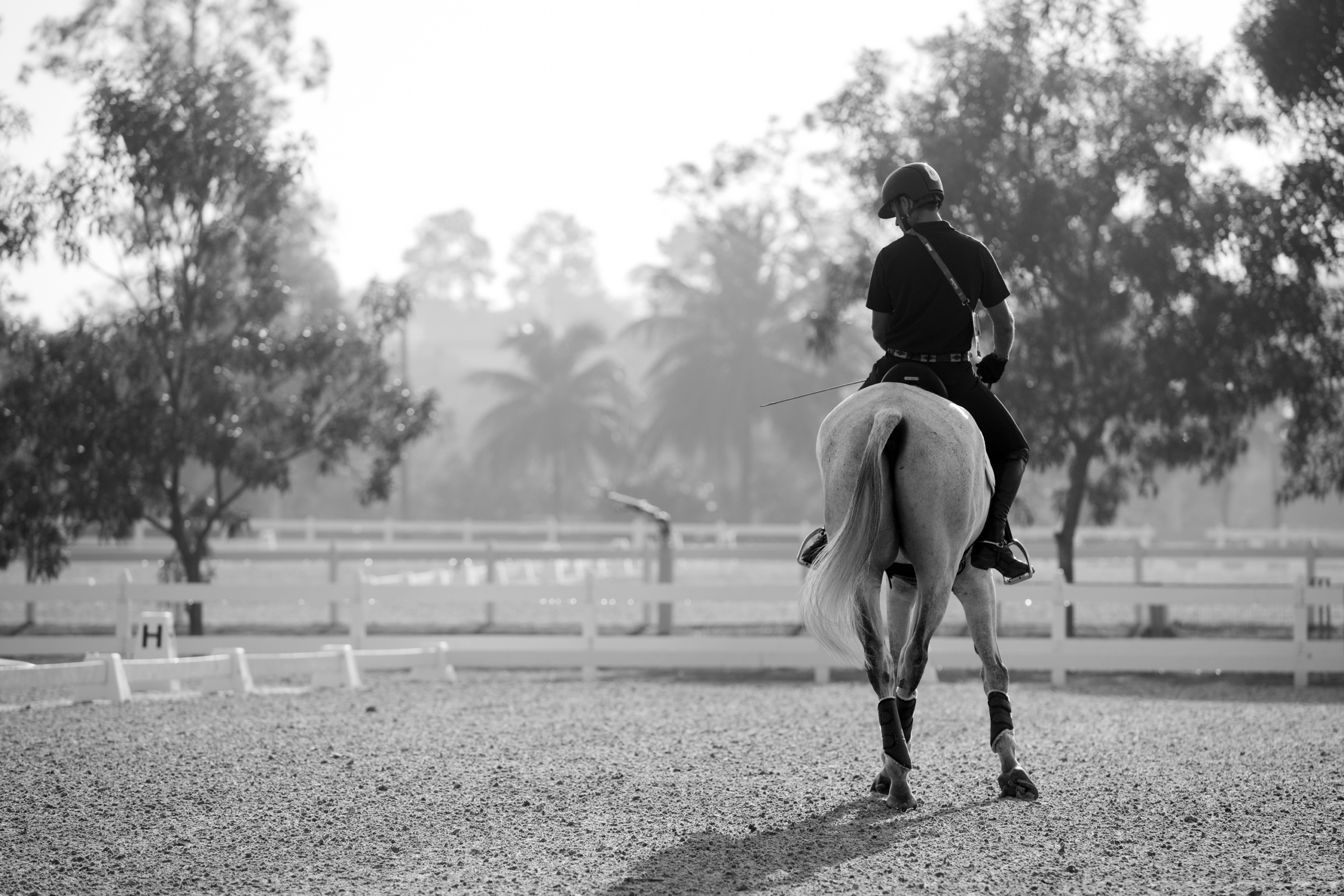 EQUESTRIAN
Campaign realized for the International Federation for Equestrian Sports FEI.
Olympic Games Rio 2016
EVENTING
ITA: ROMAN PIETRO
