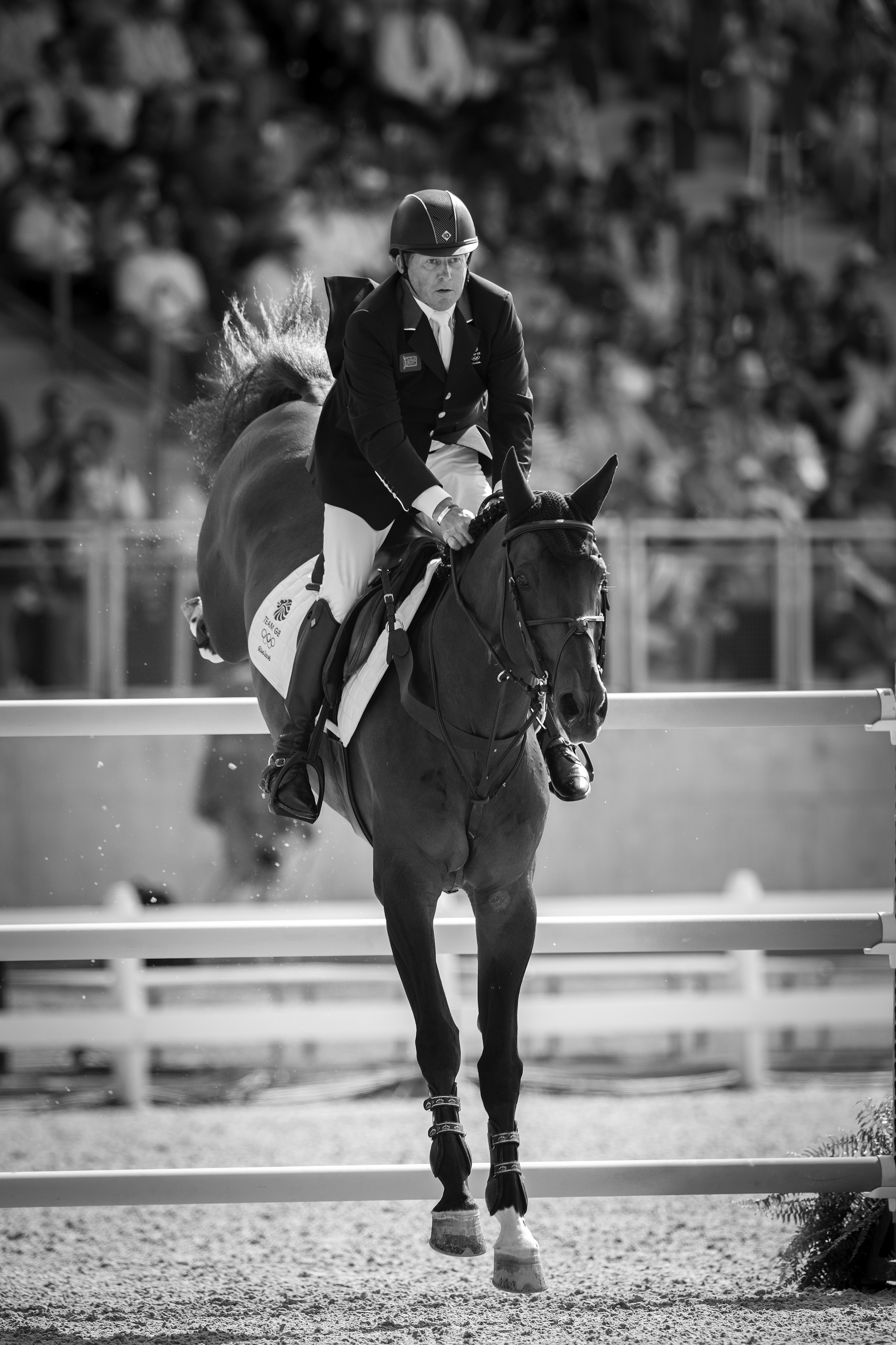 EQUESTRIAN
Campaign realized for the International Federation for Equestrian Sports FEI.
Olympic Games RIO 2016
JUMPING INDIVIDUAL FINAL ROUND
GBR Nick SKELTON