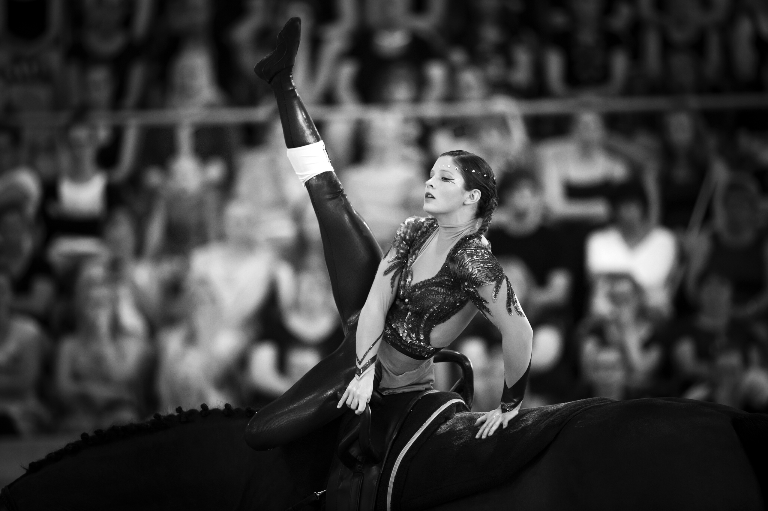FEI EUROPEAN CHAMPIONSHIPS Aachen 2015.
Female Vaulters Finale. VAULTING.
Manon NOEL FRA Kirch de la love (338)