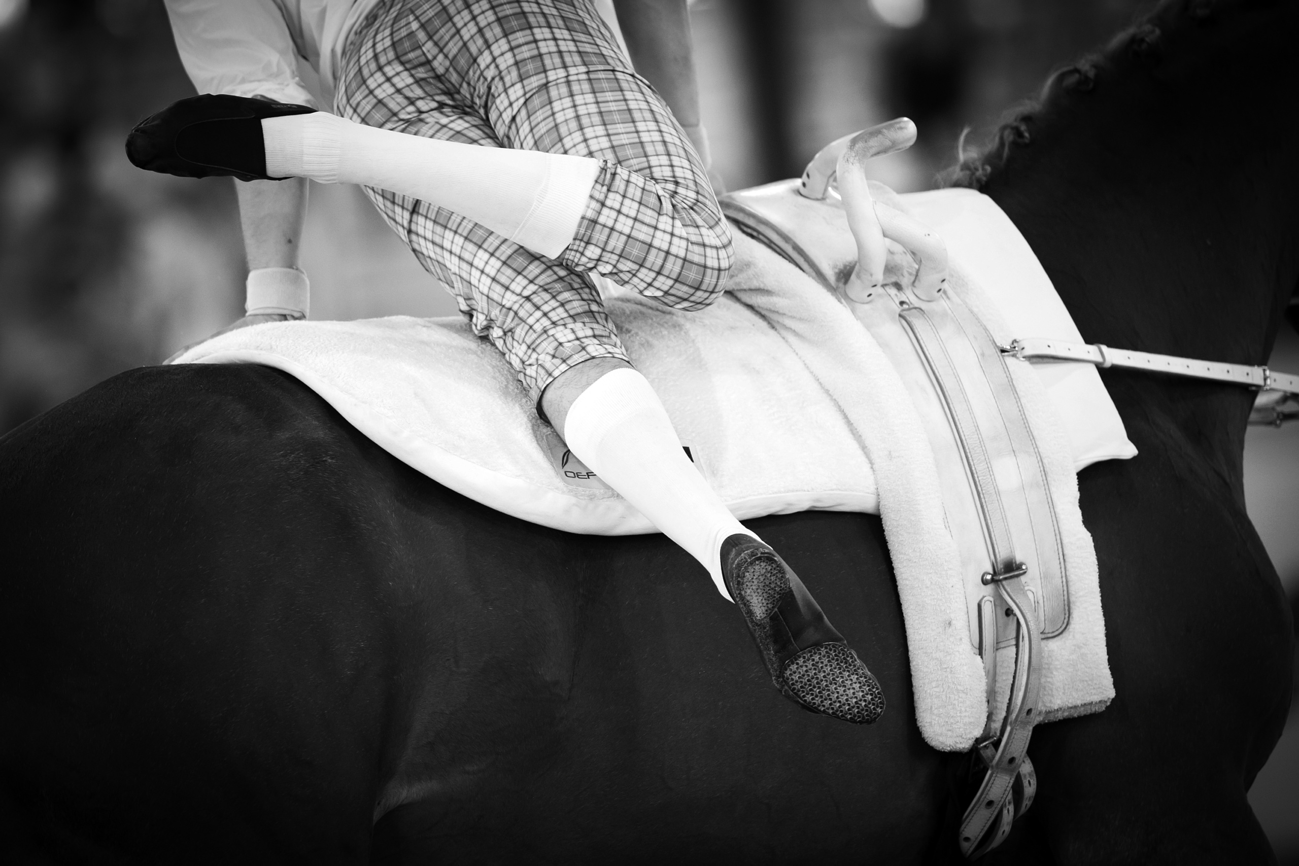 FEI EUROPEAN CHAMPIONSHIPS Aachen 2015.
MALE VAULTER FINALE