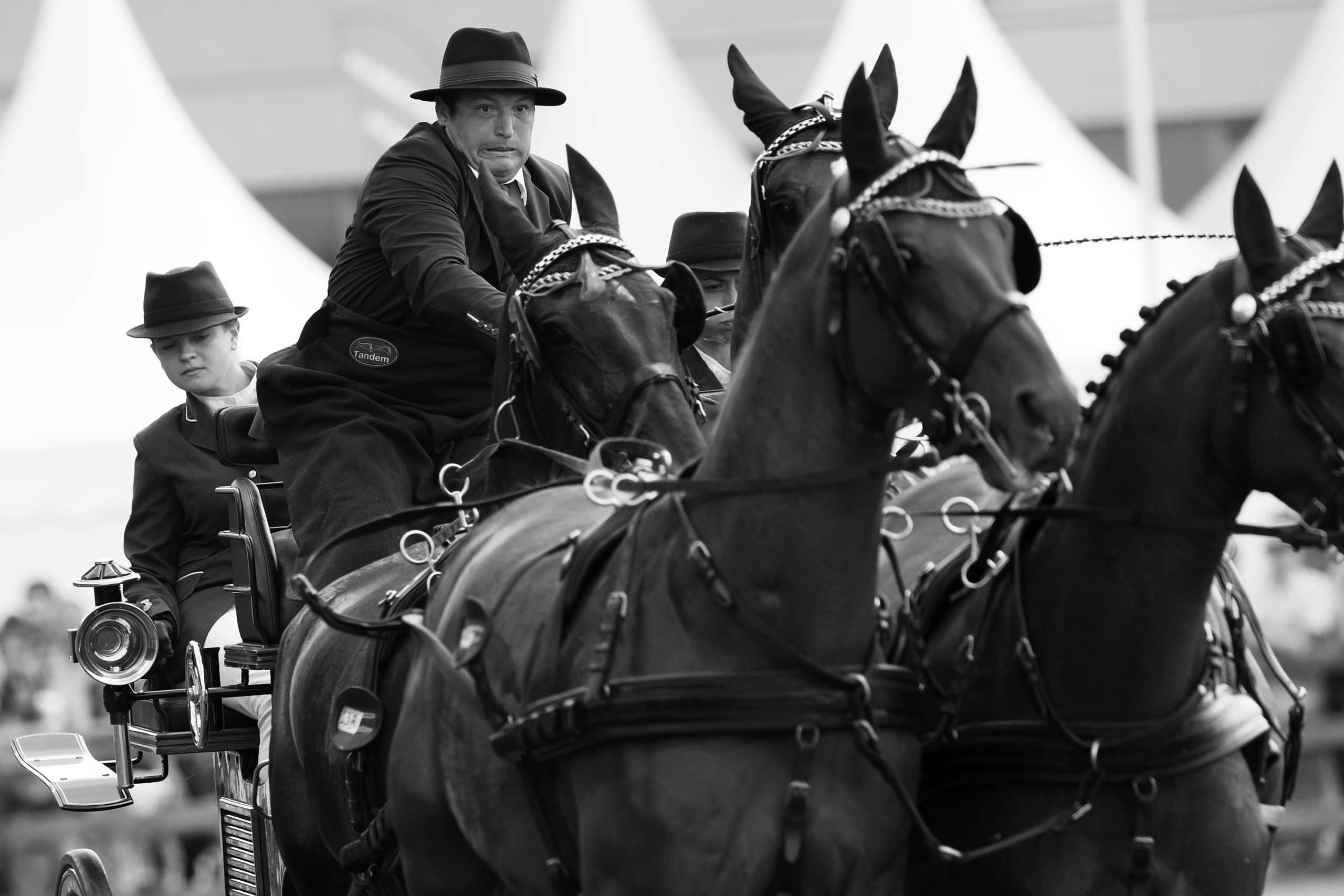 FEI EUROPEAN CHAMPIONSHIPS Aachen 2015.
OBSTACLE DRIVING COMPETITION, 2nd INDIVIDUAL and TEAM QUALIFIER.
SEBASTIEN VINCENT FRA