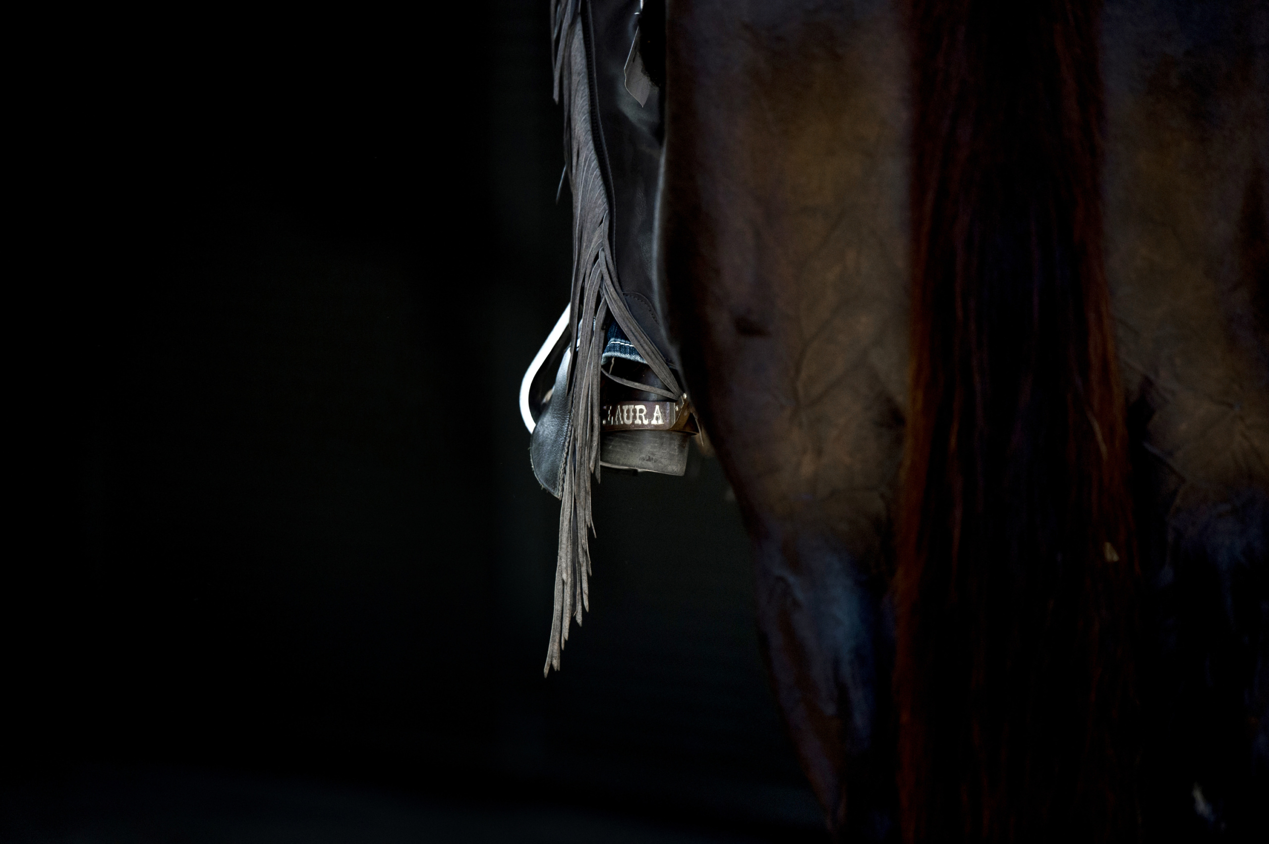 FEI EUROPEAN CHAMPIONSHIPS Aachen 2015.
Team Final and 1st qualifier.
Details close up