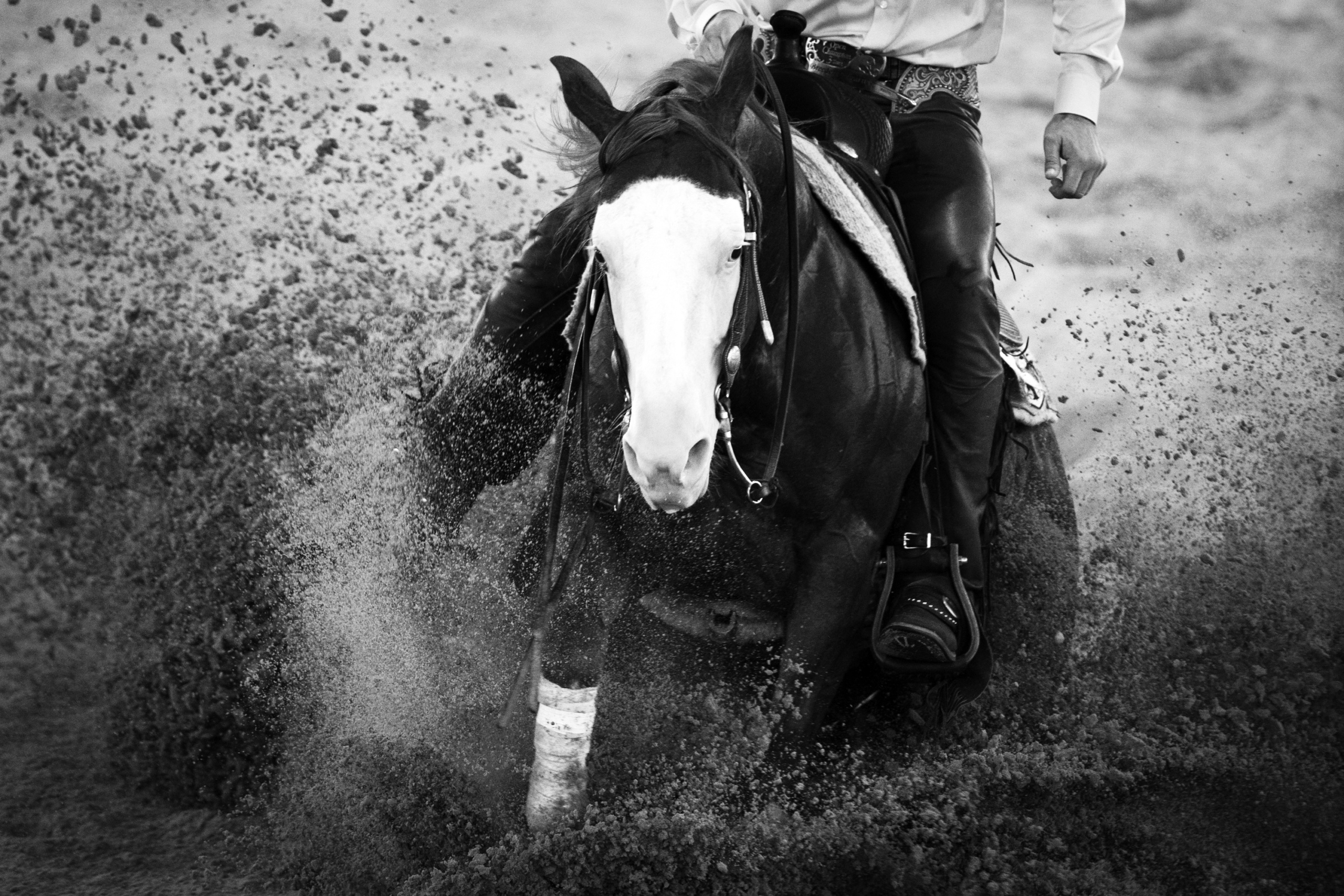 FEI EUROPEAN CHAMPIONSHIPS Aachen 2015.
Team Final and 1st qualifier.
Details, close up, action.