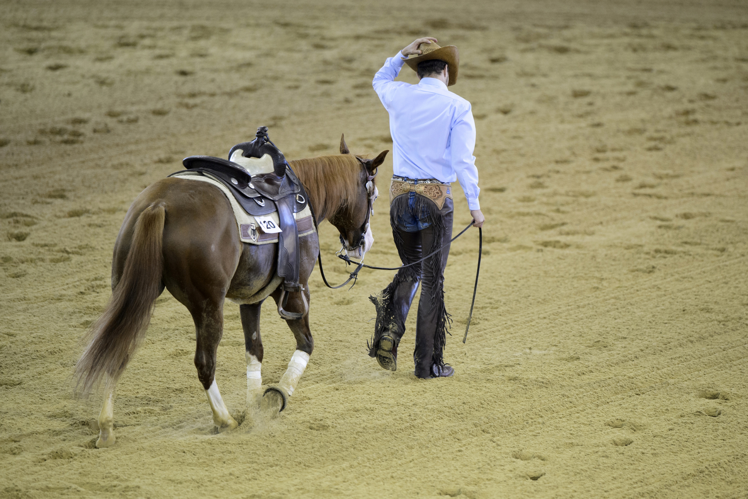 FEI EUROPEAN CHAMPIONSHIPS Aachen 2015.
Team Final and 1st qualifier. Reining
Rider. Grischa LUDWIG
Horse. SHINE MY GUN