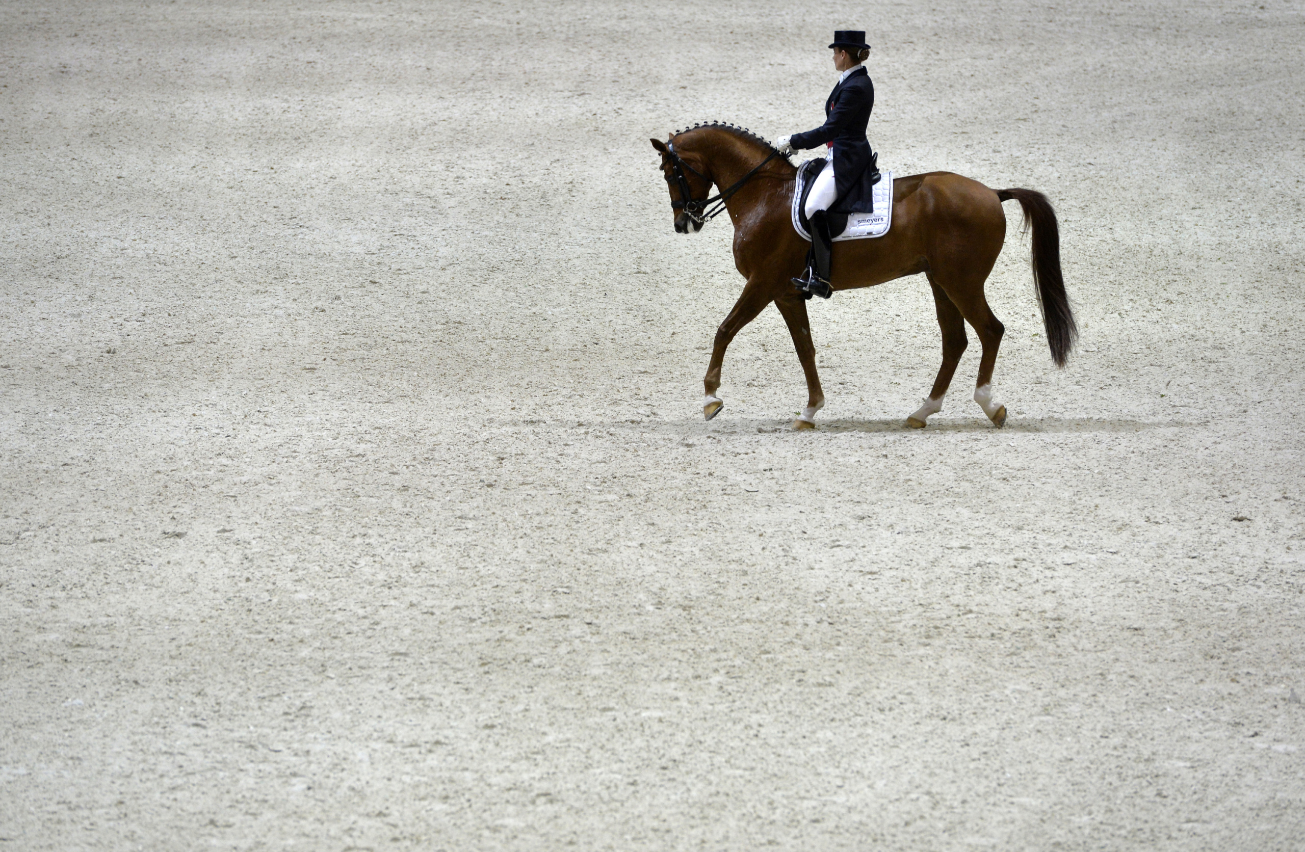 Lyon 2014
