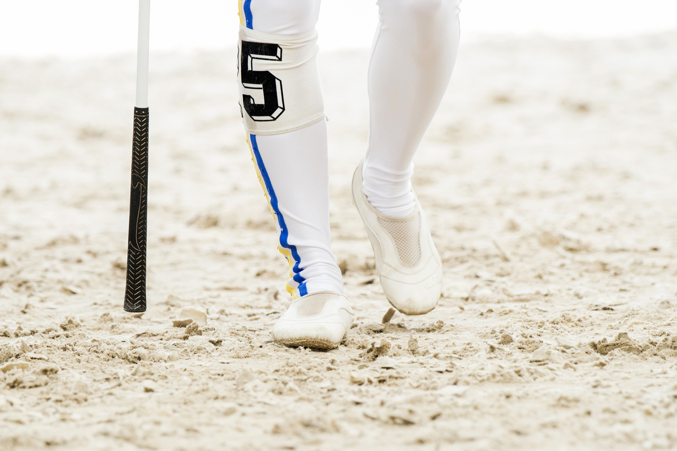 equestrian_z7