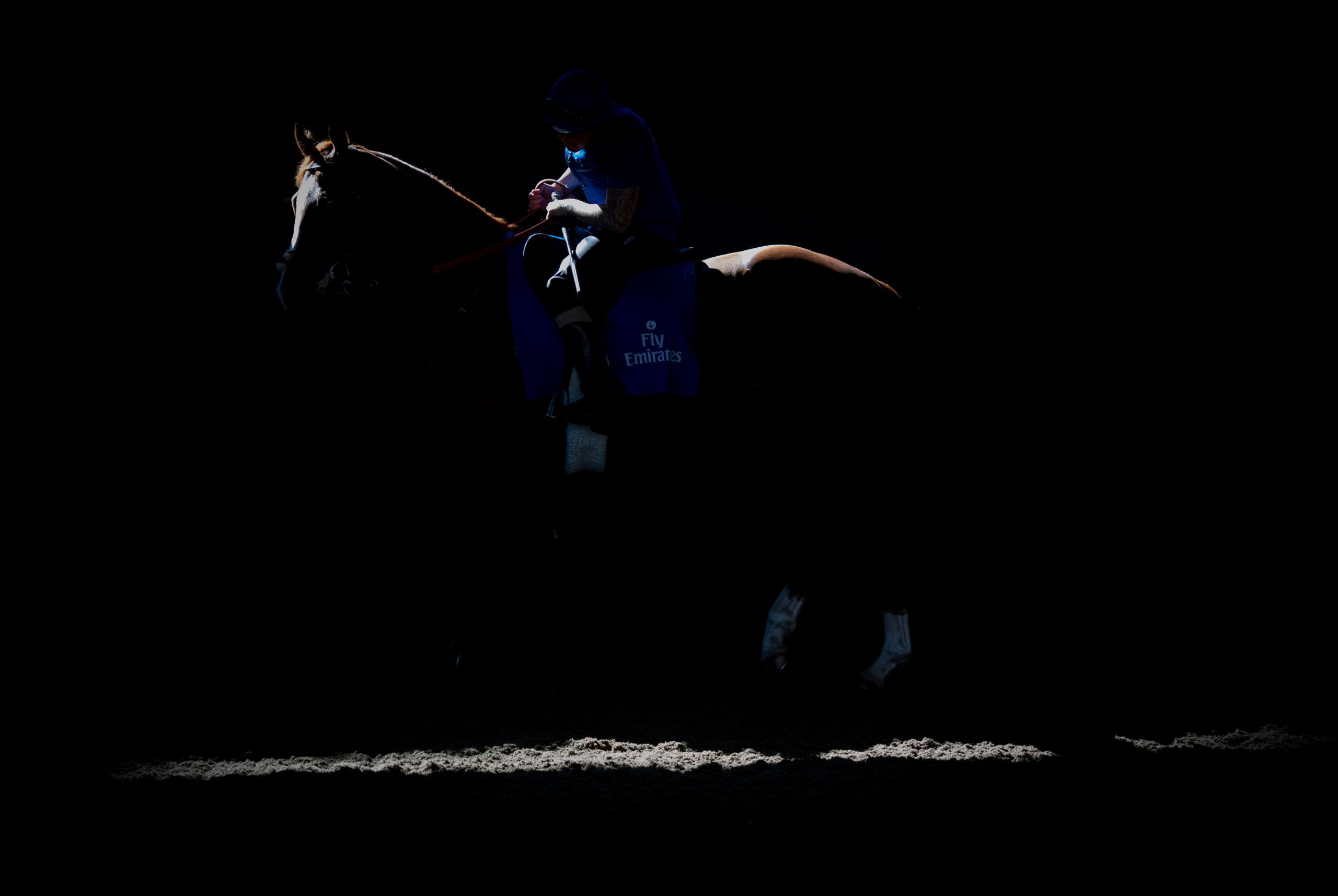 Picture taken for Godolphin.
Godolphin, sponsored by Emirates, is the Maktoum family's private thoroughbred horseracing stable and was named in honour of the Godolphin Arabian, who came from the desert to become one of the tree founding stallions of the modern thoroughbred . Godolphin's headquarters are in Dubai. It operates two racing stables in Newmarket, UK, two in Sydney one in Melbourne, Australia and also has horses in training with independent trainers in Great Britain, Australia , France, Japan, USA and Ireland. UAE Vice President, Prime Minister and Ruler of Dubai, H.H Sheikh Mohammed Bin Rashid Al Maktoum is the driving force behind Godolphin.
