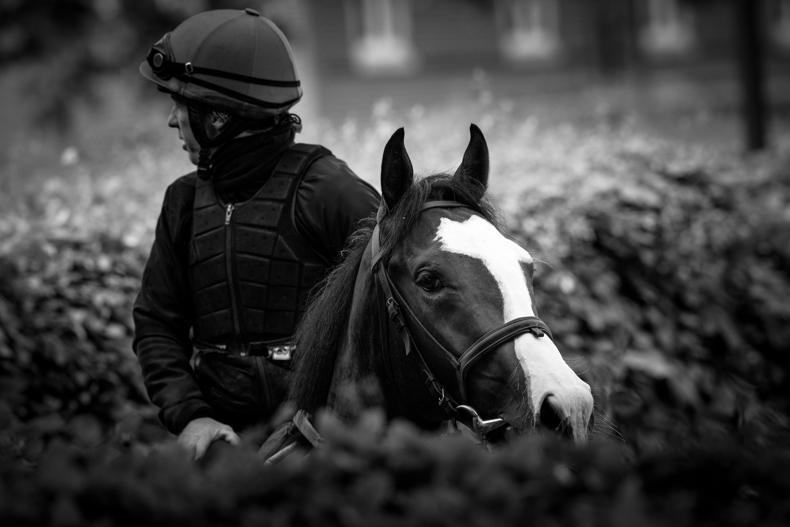 Picture taken for Godolphin.
Godolphin, sponsored by Emirates, is the Maktoum family's private thoroughbred horseracing stable and was named in honour of the Godolphin Arabian, who came from the desert to become one of the tree founding stallions of the modern thoroughbred . Godolphin's headquarters are in Dubai. It operates two racing stables in Newmarket, UK, two in Sydney one in Melbourne, Australia and also has horses in training with independent trainers in Great Britain, Australia , France, Japan, USA and Ireland. UAE Vice President, Prime Minister and Ruler of Dubai, H.H Sheikh Mohammed Bin Rashid Al Maktoum is the driving force behind Godolphin.