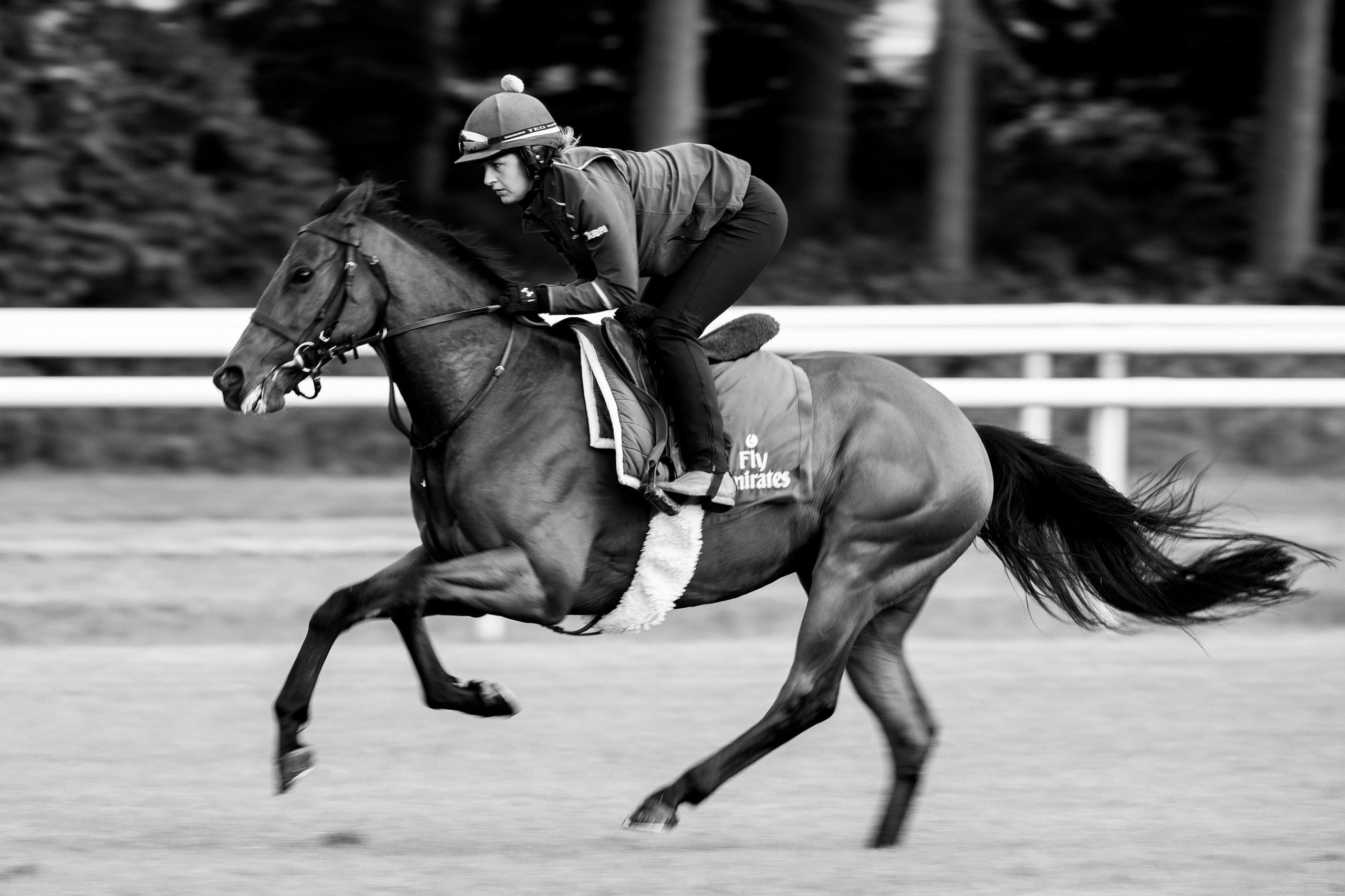 Picture taken for Godolphin.
Godolphin, sponsored by Emirates, is the Maktoum family's private thoroughbred horseracing stable and was named in honour of the Godolphin Arabian, who came from the desert to become one of the tree founding stallions of the modern thoroughbred . Godolphin's headquarters are in Dubai. It operates two racing stables in Newmarket, UK, two in Sydney one in Melbourne, Australia and also has horses in training with independent trainers in Great Britain, Australia , France, Japan, USA and Ireland. UAE Vice President, Prime Minister and Ruler of Dubai, H.H Sheikh Mohammed Bin Rashid Al Maktoum is the driving force behind Godolphin.