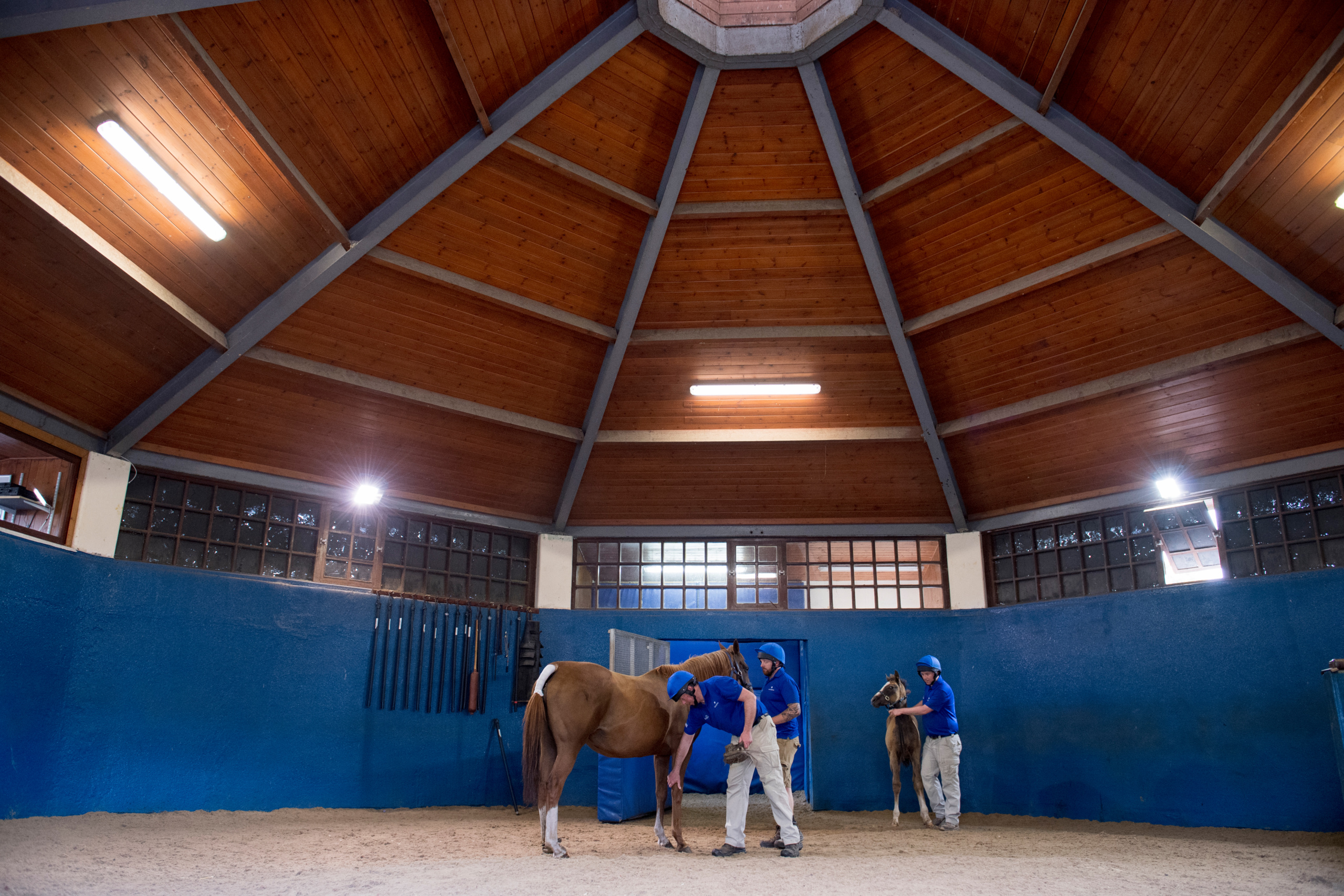 Picture taken for Godolphin.
Godolphin, sponsored by Emirates, is the Maktoum family's private thoroughbred horseracing stable and was named in honour of the Godolphin Arabian, who came from the desert to become one of the tree founding stallions of the modern thoroughbred . Godolphin's headquarters are in Dubai. It operates two racing stables in Newmarket, UK, two in Sydney one in Melbourne, Australia and also has horses in training with independent trainers in Great Britain, Australia , France, Japan, USA and Ireland. UAE Vice President, Prime Minister and Ruler of Dubai, H.H Sheikh Mohammed Bin Rashid Al Maktoum is the driving force behind Godolphin.