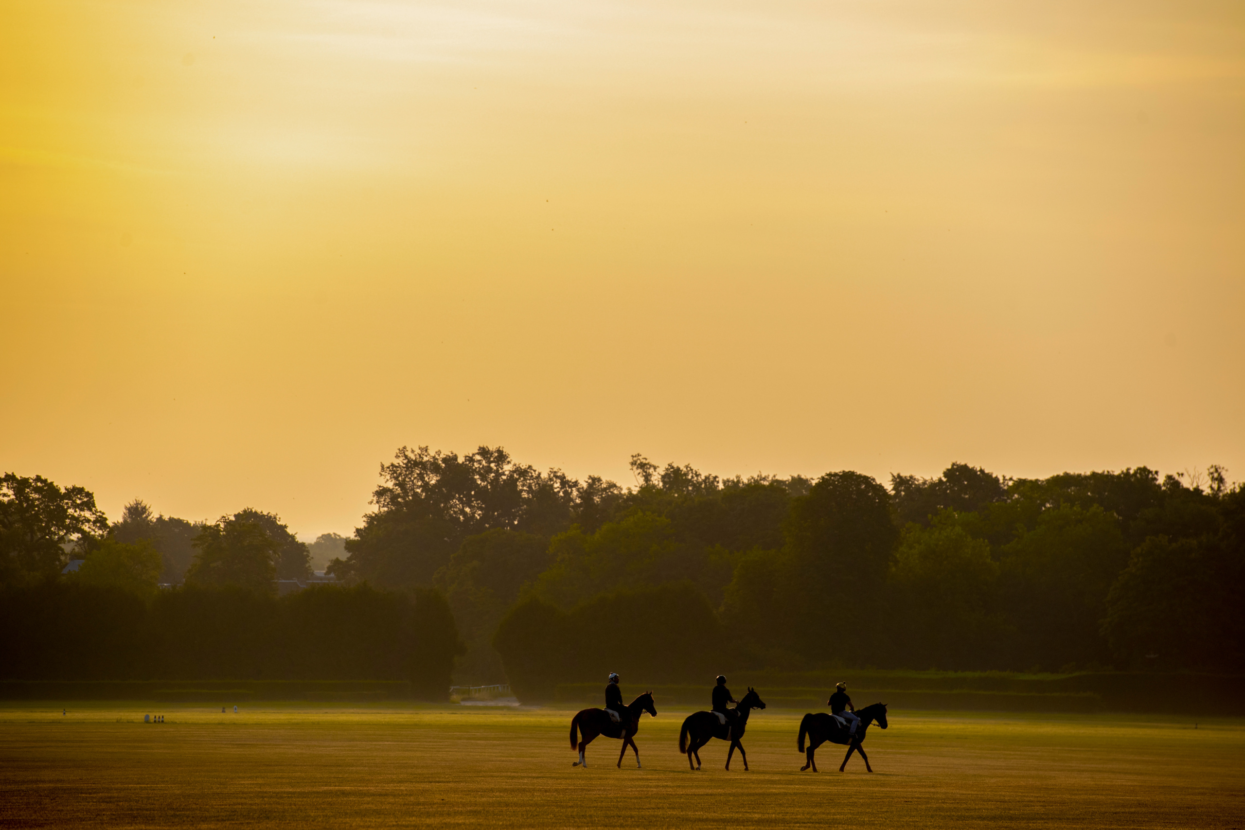 Picture taken for Godolphin.
Godolphin, sponsored by Emirates, is the Maktoum family's private thoroughbred horseracing stable and was named in honour of the Godolphin Arabian, who came from the desert to become one of the tree founding stallions of the modern thoroughbred . Godolphin's headquarters are in Dubai. It operates two racing stables in Newmarket, UK, two in Sydney one in Melbourne, Australia and also has horses in training with independent trainers in Great Britain, Australia , France, Japan, USA and Ireland. UAE Vice President, Prime Minister and Ruler of Dubai, H.H Sheikh Mohammed Bin Rashid Al Maktoum is the driving force behind Godolphin.