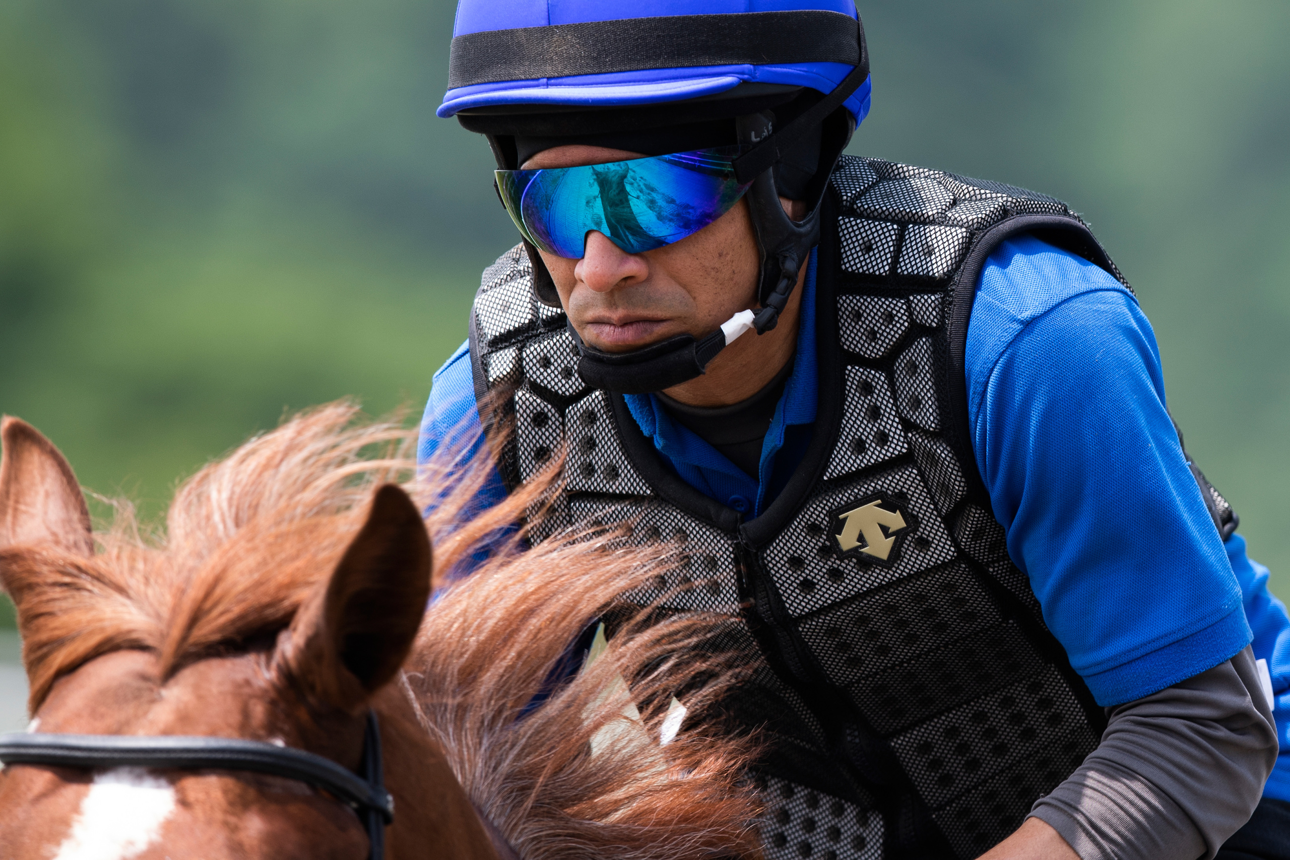 Picture taken for Godolphin.
Godolphin, sponsored by Emirates, is the Maktoum family's private thoroughbred horseracing stable and was named in honour of the Godolphin Arabian, who came from the desert to become one of the tree founding stallions of the modern thoroughbred . Godolphin's headquarters are in Dubai. It operates two racing stables in Newmarket, UK, two in Sydney one in Melbourne, Australia and also has horses in training with independent trainers in Great Britain, Australia , France, Japan, USA and Ireland. UAE Vice President, Prime Minister and Ruler of Dubai, H.H Sheikh Mohammed Bin Rashid Al Maktoum is the driving force behind Godolphin.