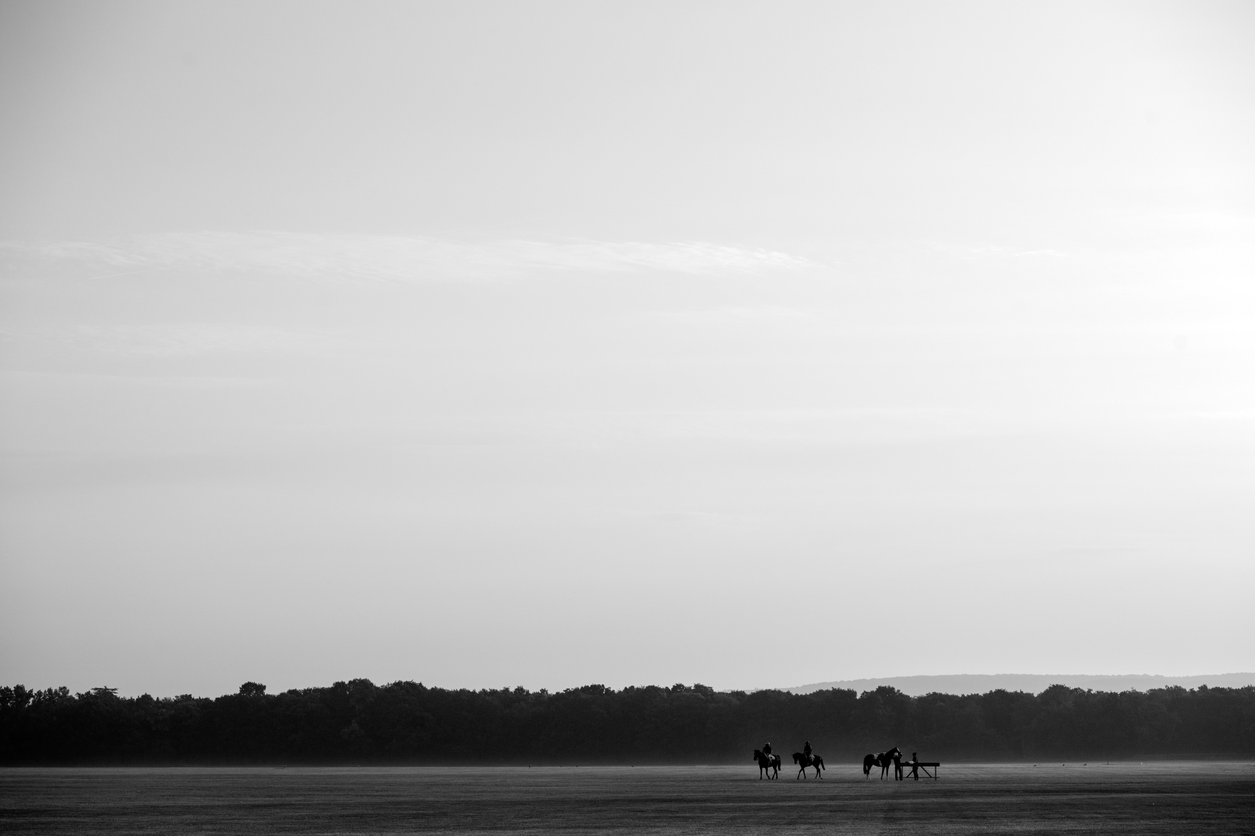 Picture taken for Godolphin.
Godolphin, sponsored by Emirates, is the Maktoum family's private thoroughbred horseracing stable and was named in honour of the Godolphin Arabian, who came from the desert to become one of the tree founding stallions of the modern thoroughbred . Godolphin's headquarters are in Dubai. It operates two racing stables in Newmarket, UK, two in Sydney one in Melbourne, Australia and also has horses in training with independent trainers in Great Britain, Australia , France, Japan, USA and Ireland. UAE Vice President, Prime Minister and Ruler of Dubai, H.H Sheikh Mohammed Bin Rashid Al Maktoum is the driving force behind Godolphin.