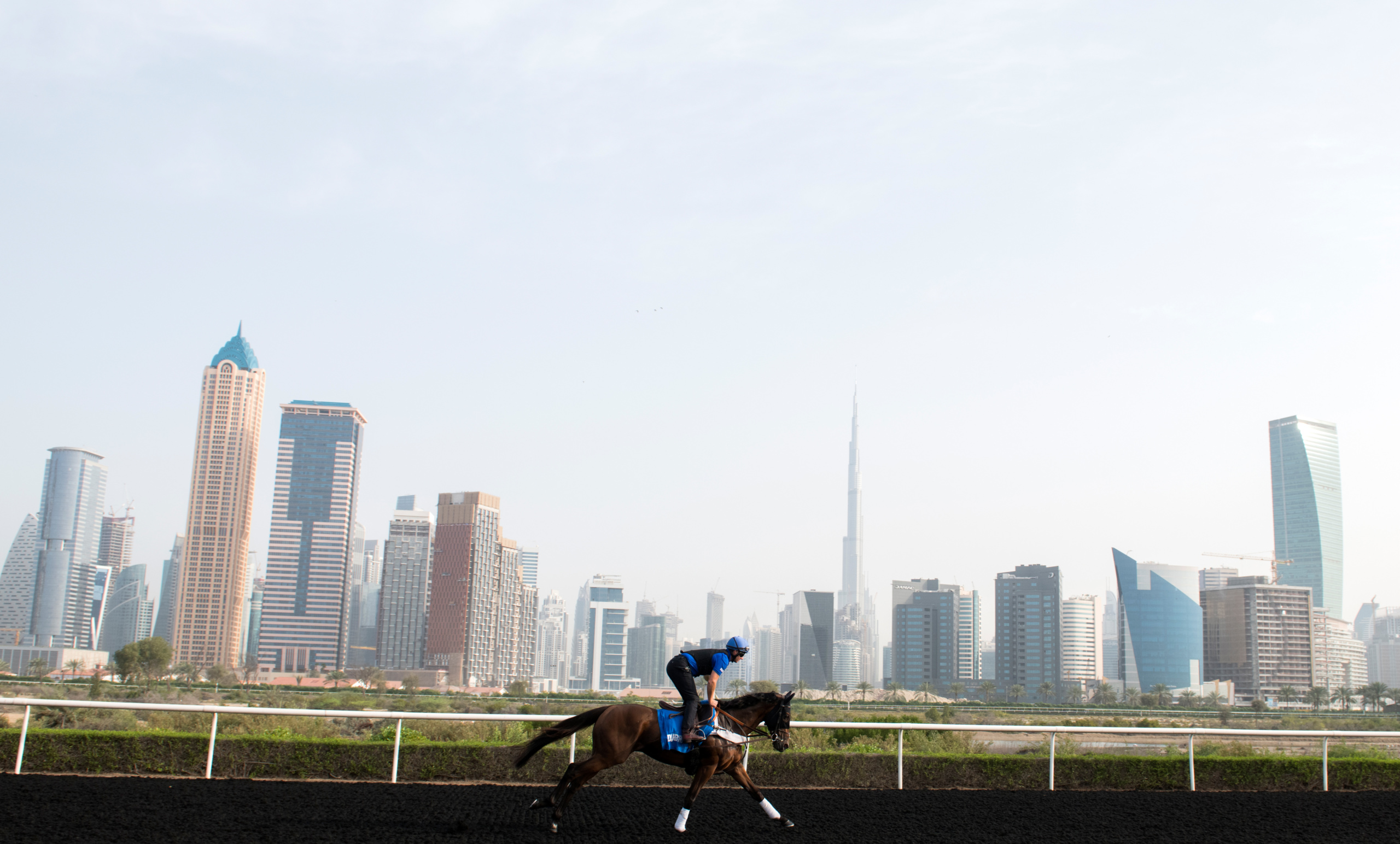 Picture taken for Godolphin.
Godolphin, sponsored by Emirates, is the Maktoum family's private thoroughbred horseracing stable and was named in honour of the Godolphin Arabian, who came from the desert to become one of the tree founding stallions of the modern thoroughbred . Godolphin's headquarters are in Dubai. It operates two racing stables in Newmarket, UK, two in Sydney one in Melbourne, Australia and also has horses in training with independent trainers in Great Britain, Australia , France, Japan, USA and Ireland. UAE Vice President, Prime Minister and Ruler of Dubai, H.H Sheikh Mohammed Bin Rashid Al Maktoum is the driving force behind Godolphin.