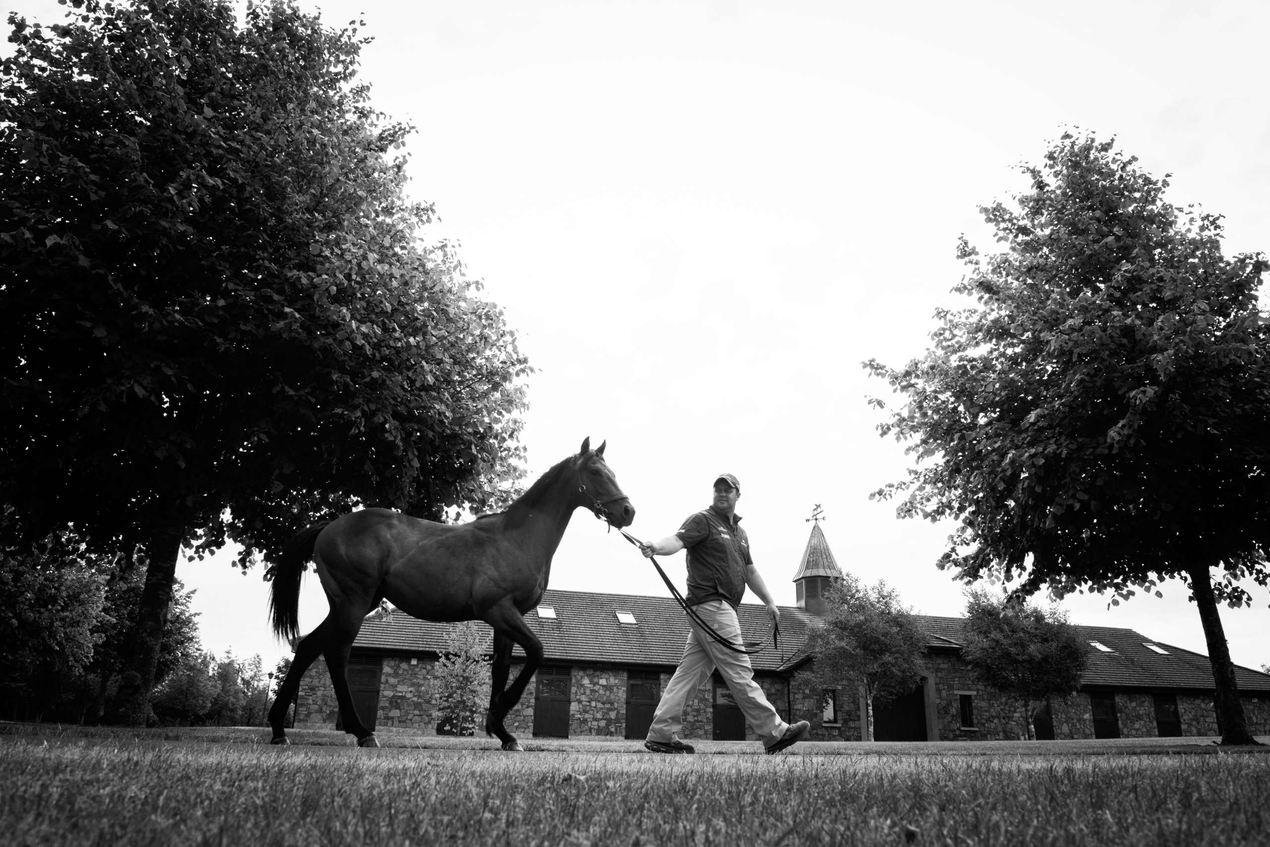Picture taken for Godolphin.
Godolphin, sponsored by Emirates, is the Maktoum family's private thoroughbred horseracing stable and was named in honour of the Godolphin Arabian, who came from the desert to become one of the tree founding stallions of the modern thoroughbred . Godolphin's headquarters are in Dubai. It operates two racing stables in Newmarket, UK, two in Sydney one in Melbourne, Australia and also has horses in training with independent trainers in Great Britain, Australia , France, Japan, USA and Ireland. UAE Vice President, Prime Minister and Ruler of Dubai, H.H Sheikh Mohammed Bin Rashid Al Maktoum is the driving force behind Godolphin.