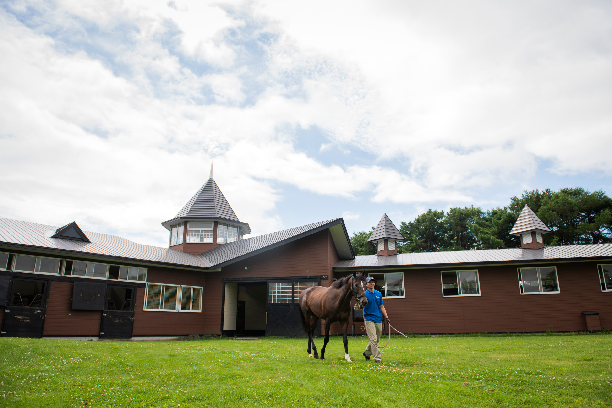 Picture taken for Godolphin.
Godolphin, sponsored by Emirates, is the Maktoum family's private thoroughbred horseracing stable and was named in honour of the Godolphin Arabian, who came from the desert to become one of the tree founding stallions of the modern thoroughbred . Godolphin's headquarters are in Dubai. It operates two racing stables in Newmarket, UK, two in Sydney one in Melbourne, Australia and also has horses in training with independent trainers in Great Britain, Australia , France, Japan, USA and Ireland. UAE Vice President, Prime Minister and Ruler of Dubai, H.H Sheikh Mohammed Bin Rashid Al Maktoum is the driving force behind Godolphin.