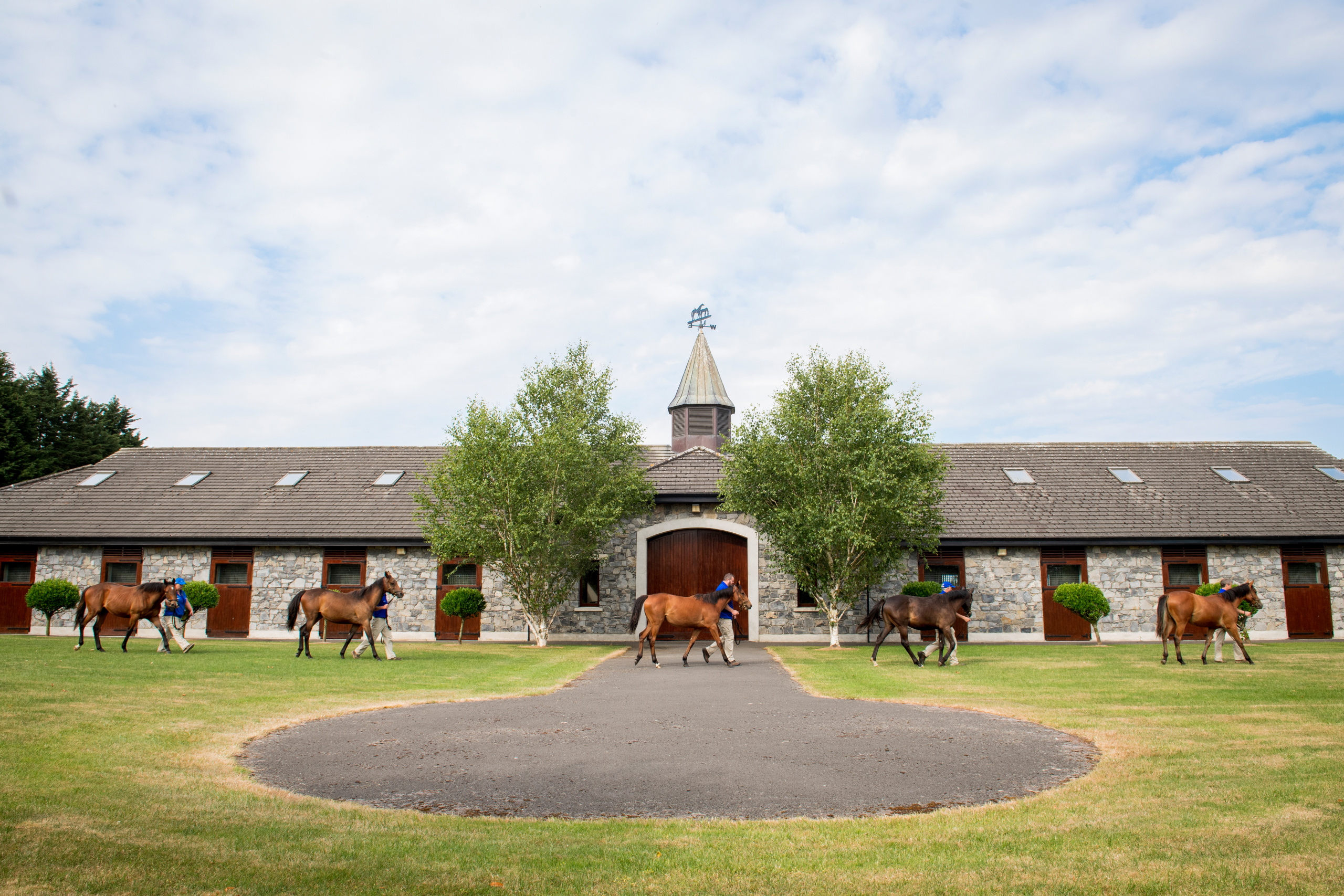 Picture taken for Godolphin.
Godolphin, sponsored by Emirates, is the Maktoum family's private thoroughbred horseracing stable and was named in honour of the Godolphin Arabian, who came from the desert to become one of the tree founding stallions of the modern thoroughbred . Godolphin's headquarters are in Dubai. It operates two racing stables in Newmarket, UK, two in Sydney one in Melbourne, Australia and also has horses in training with independent trainers in Great Britain, Australia , France, Japan, USA and Ireland. UAE Vice President, Prime Minister and Ruler of Dubai, H.H Sheikh Mohammed Bin Rashid Al Maktoum is the driving force behind Godolphin.