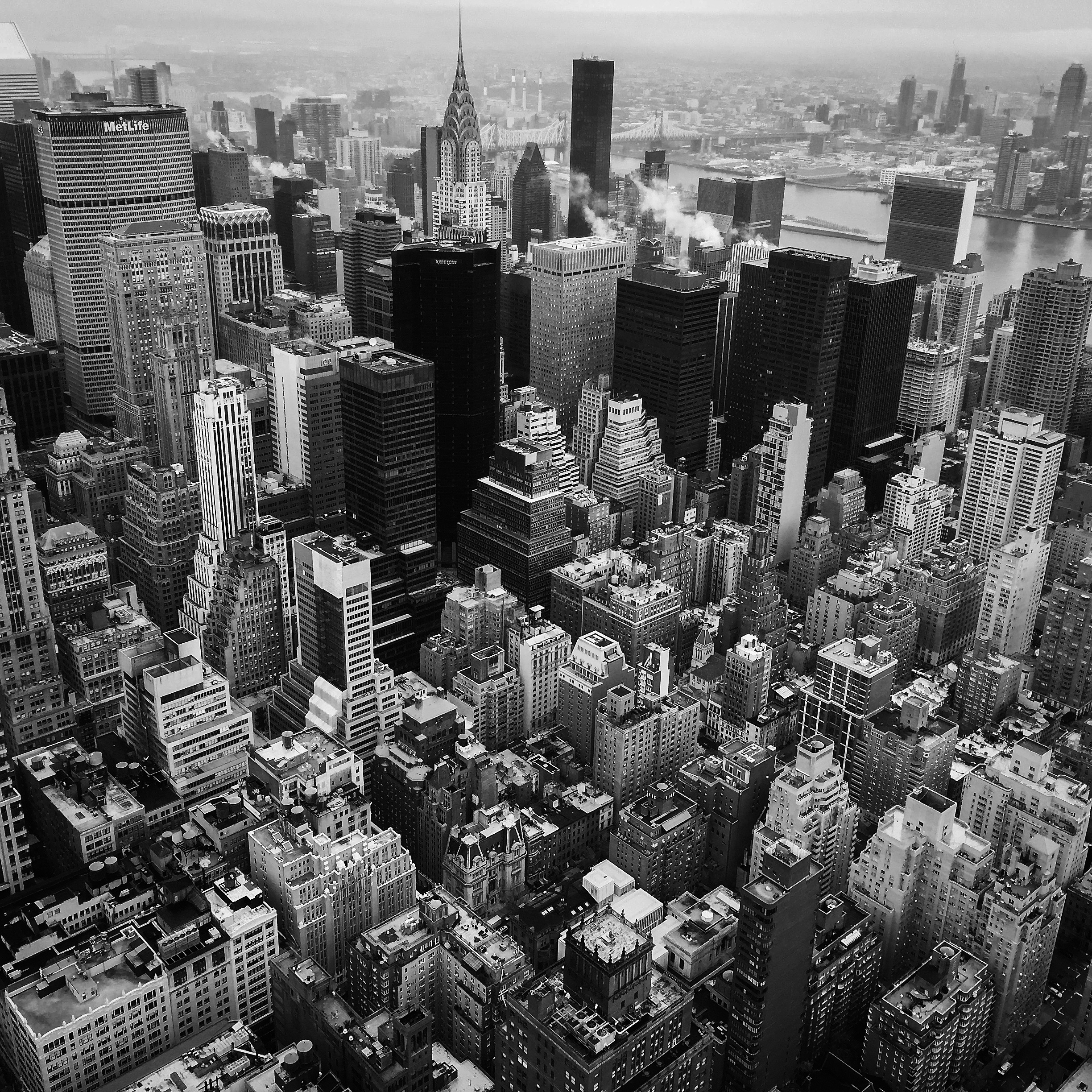 New York, USA.