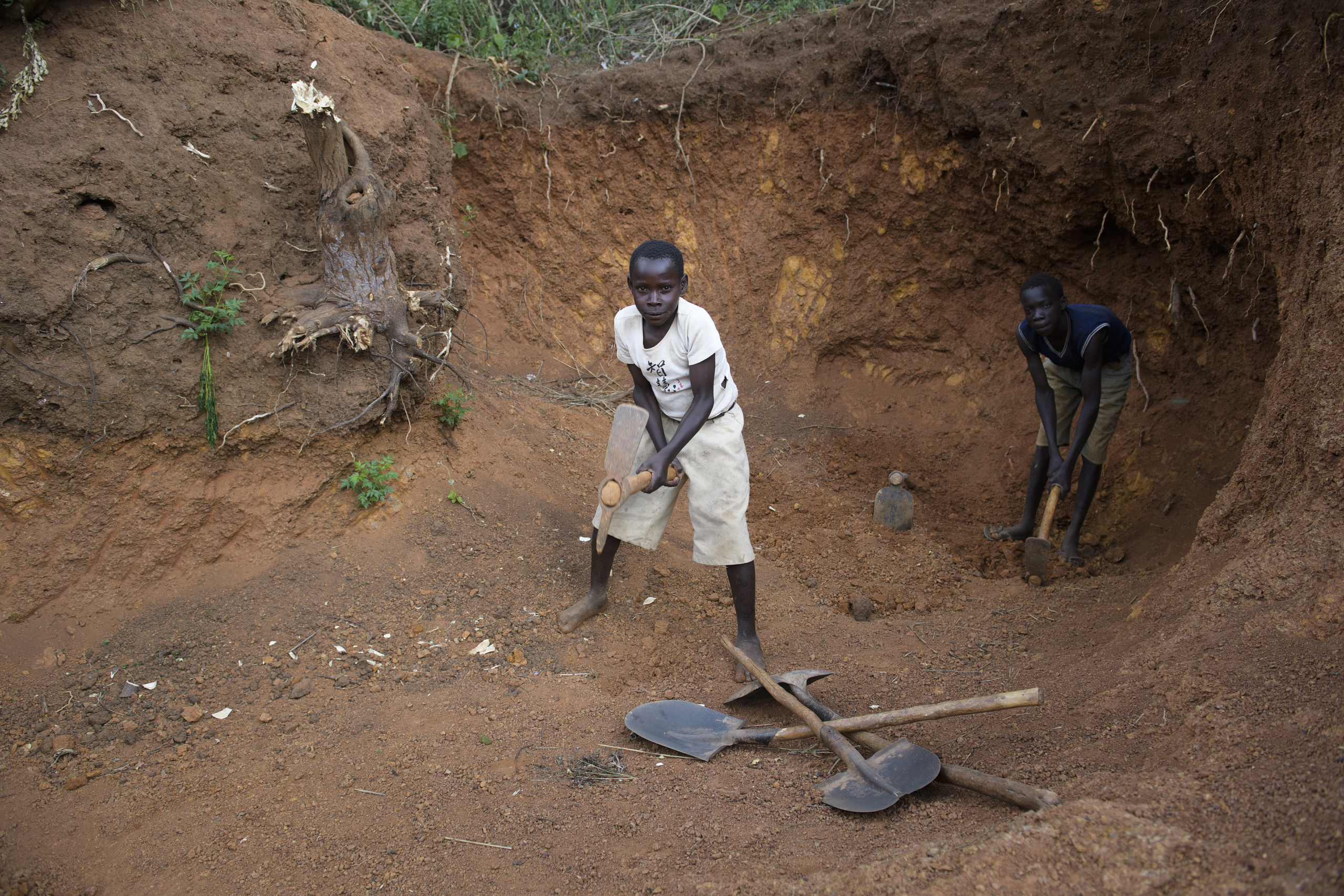 Soroti Uganda.
Children working in the bush. Many children have to work from a young age to earn money for their families.